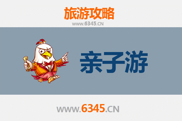 伊春亲子游攻略：探秘小兴安岭的自然课堂与家庭乐趣
